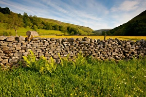 Muker Prints: Drystone wall at edge of wildflower meadow