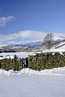Dry Stone Prints: Drystone wall and gate in snow covered valley bottom