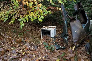Cars Prints: Dumped microwave oven and tangled car wreckage in woodland