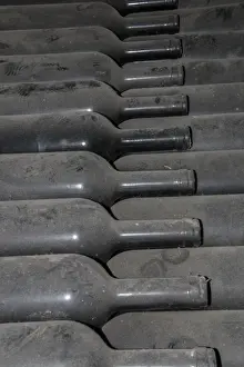 Wines Prints: Dust covered old bottles of wine. Guasti Clemente of Nizza Northan Italy