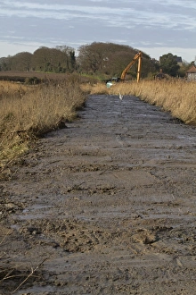 Environmental Prints: Dyke clearance in coastal marshland