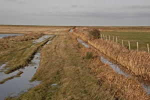 Dyke at Deepdale Marsh at Burnham Norton, Brancaster North Norfolk - Marsh land habitat used by winter wildfowl flocks