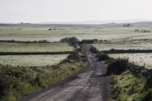 Track Prints: Early morning dew covers the fields
