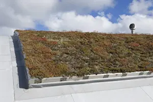 Centres Prints: Eco visitor centre with sedum ecological insulation on roof