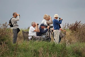 Woman Prints: Elderly birdwatchers with binoculars and telescope