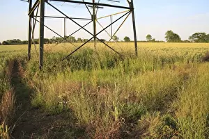 Underneath Prints: Electricity transmission pylon standing in arable field