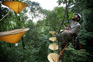 Conserves Prints: Entemologist with insect traps in treetops of cloudforest
