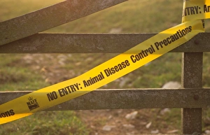 Gates Prints: No Entry, Animal Disease Control Precautions tape, on farm gate in restricted disease area