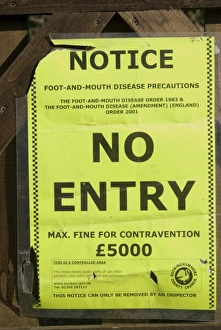 Signs Prints: No Entry Foot-and-Mouth Disease Precautions notice