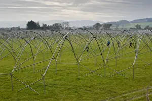 Perth And Kinross Prints: Erecting metal frames for plastic poly-tunnels for fruit growing