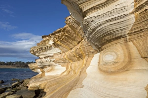 Erosion Prints: Eroded sandstone sea cliffs, Painted Cliffs