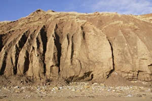 Pebbles Prints: Eroded sea cliffs and pebbles on beach, Filey Bay, Filey, East Yorkshire, England, January