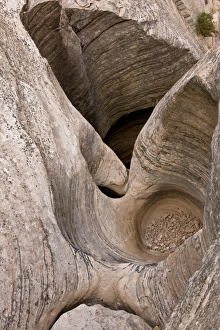 Erosion Prints: Eroded watercourse in Navajo sandstone of narrow canyon