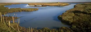 Saltmarsh Prints: Estuaries-Salt Marsh Saltmarsh at Simpsons Saltings - Suffolk Wildlife Trust