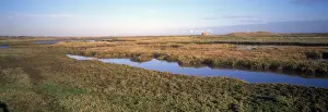 Estuaries-Salt Marsh Saltmarsh at Simpsons Saltings - Suffolk Wildlife Trust