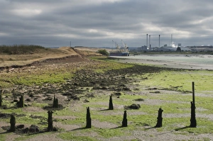 Mills Prints: Estuary at low tide revealing mudflats and breakwaters