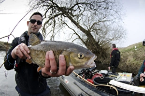 Hand Prints: European Chub (Squalius cephalus) adult