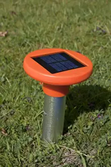 Lawns Prints: European Mole (Talpa europaea) solar-powered deterrent in garden lawn, England, August