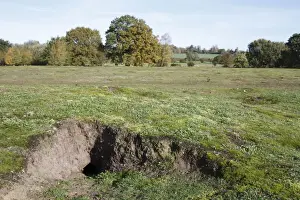 European Rabbit (Oryctolagus cuniculus) burrow entrance, in habitat on lowland heathland reserve, Wortham Ling, Suffolk, England, october