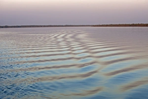 Subcontinent Prints: Expanse of water with distant mangroves