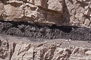 Fossilized Prints: Exposed Bituminous coal seams in Utah # America