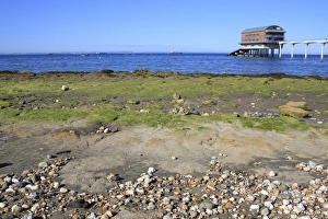 Life Boat Prints: Exposed rocky outcrop on beach at low tide
