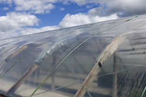 Exterior of horticultural polytunnel, Tierp, Uppsala, Sweden