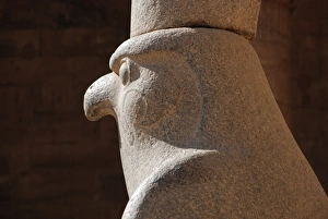 Sculptures Prints: Falcon statue, Temple of Horus, Edfu, Egypt, january