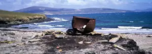 Falkland Prints: Falkland Islands Old caldron used for boiling Penguins - Falklands