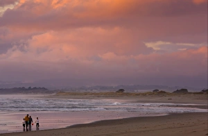 Sun Set Prints: Family beach-combing on beach in evening light