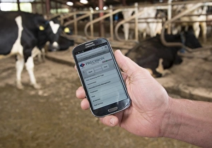 Indoor Prints: Farm management programme on smart phone held in hand