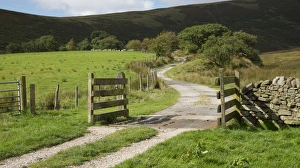 Track Prints: Farm track with cattle grid, Chipping, Forest of Bowland, Lancashire, England, September