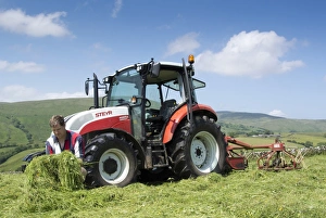 : Farmer checking quality of mown grass