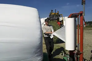Farmer Prints: Farmer plastic wrapping round silage bales with mechanical bale-wrapper, Sweden