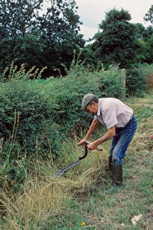 Tool Prints: Farmer scything roadside verge, Leicestershire, England