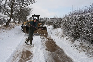 Loaders Prints: Farmer spreading sand from JCB 530 loader bucket