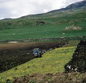 Plough Prints: Farming - Ploughing Cultivating marginal hill land on Islay, Scotland