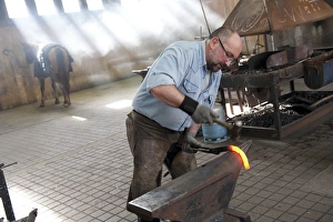 Jobs Prints: Farrier making horseshoe, Haras du Pin, Normandy, France, March