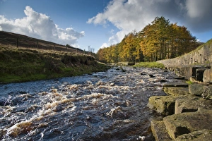 Fast flowing river habitat, Langden Brook, Sykes, Dunsop Bridge, Forest of Bowland, Lancashire, England, november