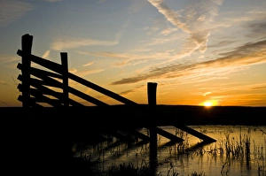 Sun Rise Prints: Fencing silhouetted in marshland habitat at sunrise