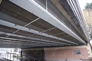 Protects Prints: Feral Pigeon (Columba livia) pigeon-proof metal mesh protecting bridge