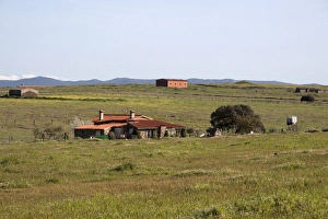 Track Prints: Fields around a small farm on the Belen Plateau