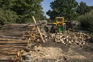 Timber Prints: Fingringhoe Wick Nature Reserve sell excess wood from their timber yard for fire wood
