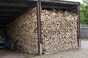 Heaps Prints: Firewood stored in farm shed, England, june