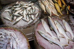Fresh Prints: Fish and squid for sale on market stall, New Territories, Hong Kong, China