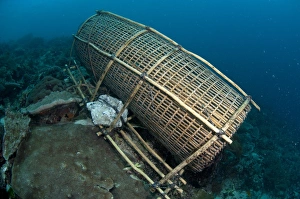 Traps Prints: Fish trap on reef, Pantar Island, Alor Archipelago, Lesser Sunda Islands, Indonesia