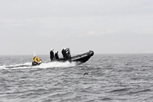 North Umberland Prints: Fisheries Patrol boat at sea, Northumberland, England, july