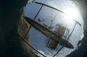 Canoe Prints: Fisherman with fish basket on fishing boat above and fish shoal below surface of water