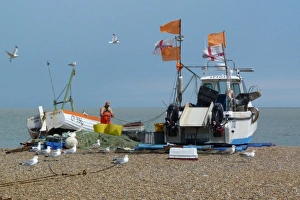Nets Prints: Fishing boat on Aldeburgh beach Suffolk. with Herring gulls