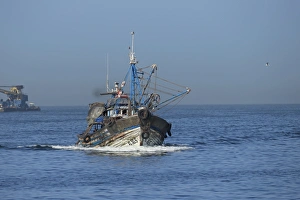 Industry Prints: Fishing boat with beam trawls at sea, Morocco, November
